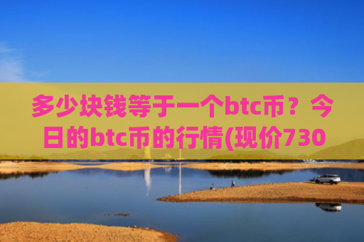 多少块钱等于一个btc币？今日的btc币的行情(现价730230.31元)