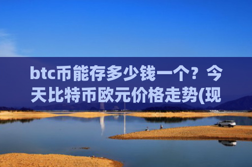 btc币能存多少钱一个？今天比特币欧元价格走势(现价729306.09元)