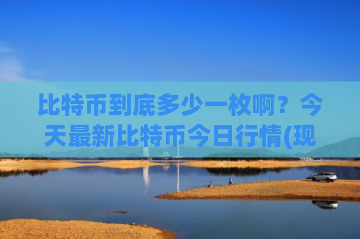 比特币到底多少一枚啊？今天最新比特币今日行情(现价729625.07元)