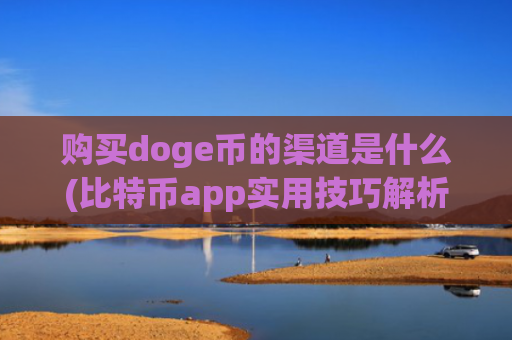购买doge币的渠道是什么(比特币app实用技巧解析)