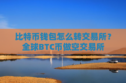 比特币钱包怎么转交易所？全球BTC币做空交易所