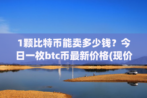 1颗比特币能卖多少钱?今日一枚btc币最新价格(现价730659.41元)