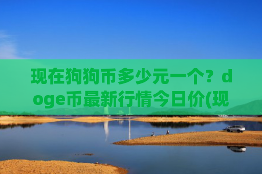 现在狗狗币多少元一个？doge币最新行情今日价(现价2.993元)
