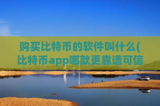 购买比特币的软件叫什么(比特币app哪款更靠谱可信)