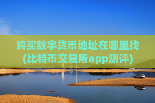 购买数字货币地址在哪里找(比特币交易所app测评)