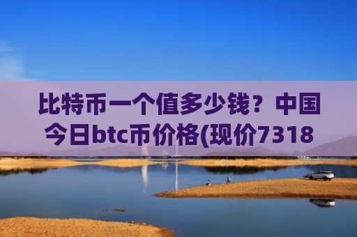比特币一个值多少钱?中国今日btc币价格(现价731820.11元)