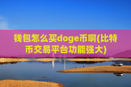 钱包怎么买doge币啊(比特币交易平台功能强大)