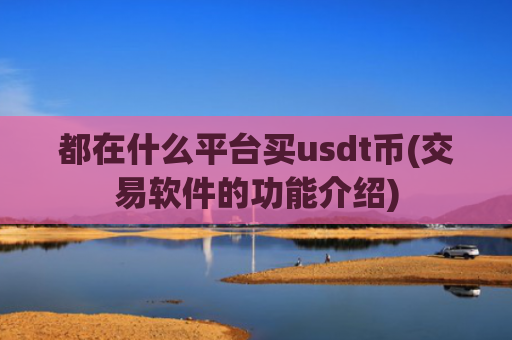 都在什么平台买usdt币(交易软件的功能介绍)