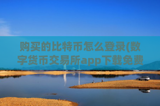 购买的比特币怎么登录(数字货币交易所app下载免费)