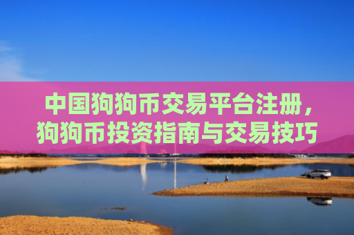 中国狗狗币交易平台注册，狗狗币投资指南与交易技巧