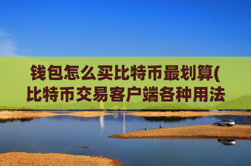 钱包怎么买比特币最划算(比特币交易客户端各种用法)