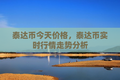 泰达币今天价格，泰达币实时行情走势分析