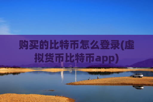 购买的比特币怎么登录(虚拟货币比特币app)