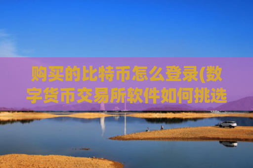 购买的比特币怎么登录(数字货币交易所软件如何挑选)