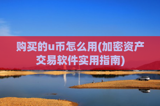 购买的u币怎么用(加密资产交易软件实用指南)