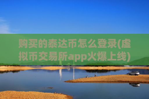 购买的泰达币怎么登录(虚拟币交易所app火爆上线)