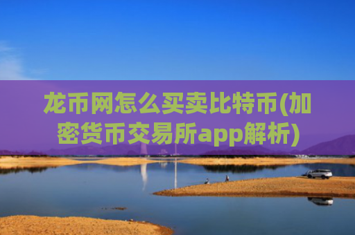 龙币网怎么买卖比特币(加密货币交易所app解析)