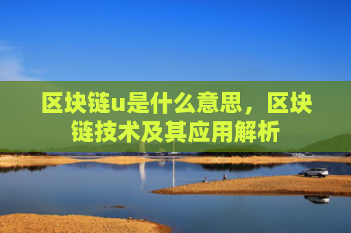 区块链u是什么意思,区块链技术及其应用解析