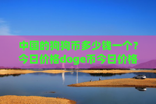 中国的狗狗币多少钱一个？今日价格doge币今日价格(现价2.9622元)