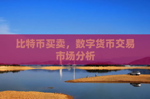 比特币买卖,数字货币交易市场分析