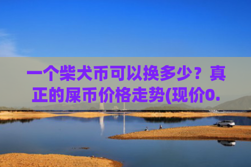 一个柴犬币可以换多少?真正的屎币价格走势(现价0.00020875元)