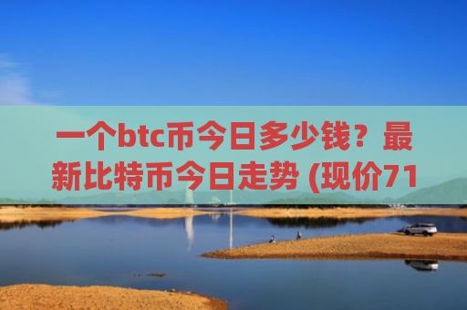 一个btc币今日多少钱？最新比特币今日走势 (现价710820.9元)