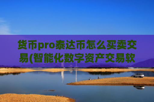 货币pro泰达币怎么买卖交易(智能化数字资产交易软件评测)