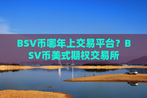 BSV币哪年上交易平台？BSV币美式期权交易所