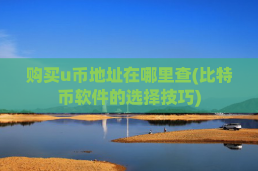 购买u币地址在哪里查(比特币软件的选择技巧)