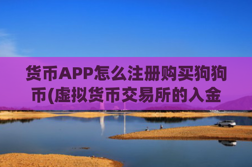 货币APP怎么注册购买狗狗币(虚拟货币交易所的入金出金流程)