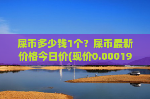 屎币多少钱1个？屎币最新价格今日价(现价0.00019912元)