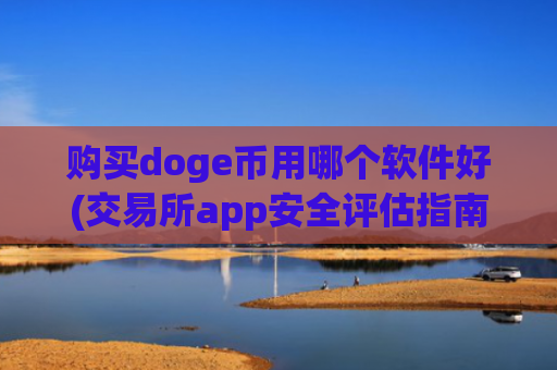 购买doge币用哪个软件好(交易所app安全评估指南)