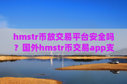 hmstr币放交易平台安全吗？国外hmstr币交易app支持信用卡