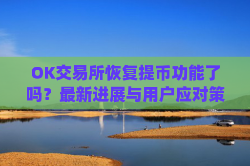 OK交易所恢复提币功能了吗？最新进展与用户应对策略解析_ok交易所能提币了吗是真的吗
