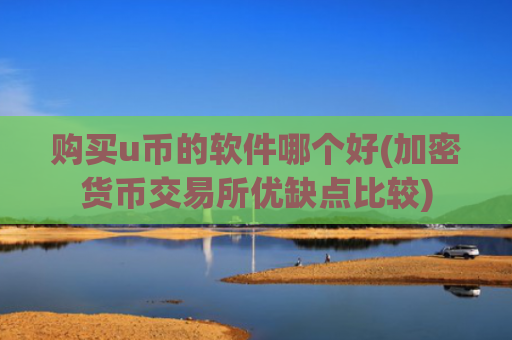 购买u币的软件哪个好(加密货币交易所优缺点比较)