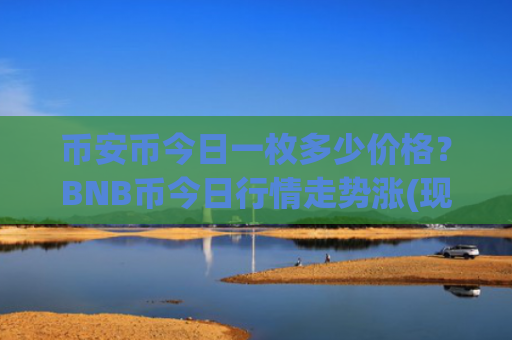 币安币今日一枚多少价格？BNB币今日行情走势涨(现价5006.61元)
