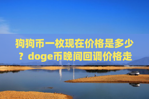 狗狗币一枚现在价格是多少？doge币晚间回调价格走势(现价2.8971元)