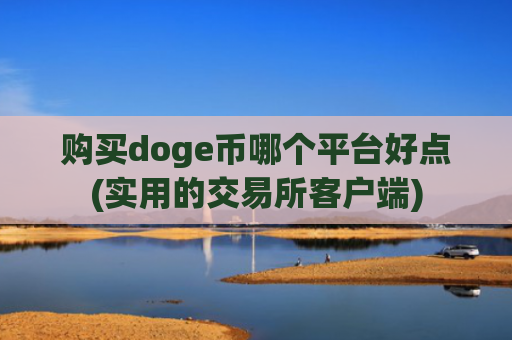 购买doge币哪个平台好点(实用的交易所客户端)