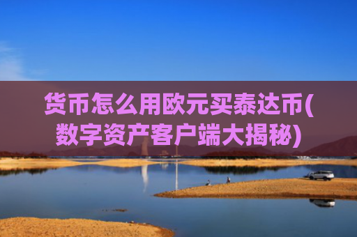 货币怎么用欧元买泰达币(数字资产客户端大揭秘)