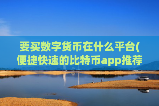 要买数字货币在什么平台(便捷快速的比特币app推荐)