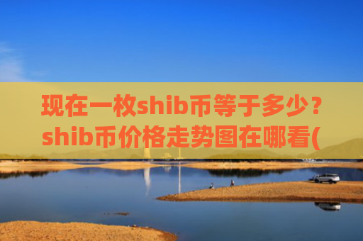 现在一枚shib币等于多少？shib币价格走势图在哪看(现价0.00020007元)