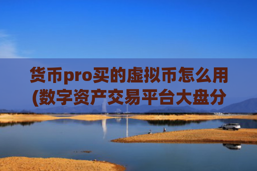 货币pro买的虚拟币怎么用(数字资产交易平台大盘分析)