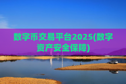 数字币交易平台2025(数字资产安全保障)
