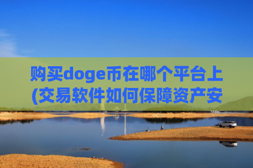购买doge币在哪个平台上(交易软件如何保障资产安全)