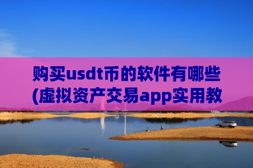 购买usdt币的软件有哪些(虚拟资产交易app实用教程)