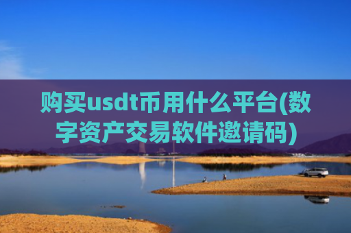 购买usdt币用什么平台(数字资产交易软件邀请码)