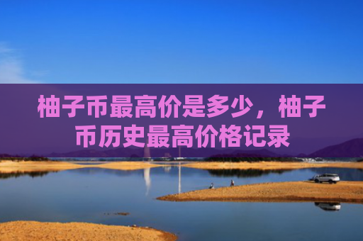 柚子币最高价是多少，柚子币历史最高价格记录