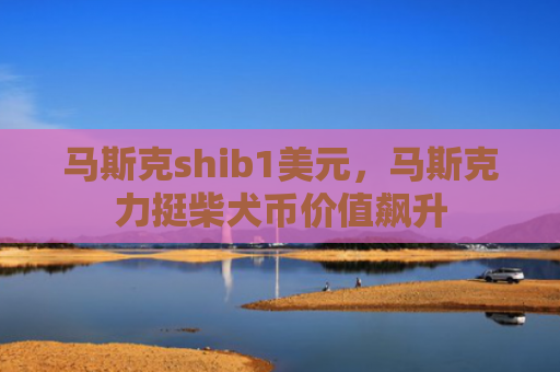 马斯克shib1美元，马斯克力挺柴犬币价值飙升