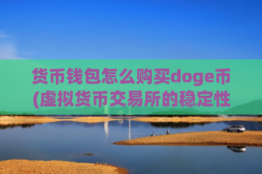 货币钱包怎么购买doge币(虚拟货币交易所的稳定性)