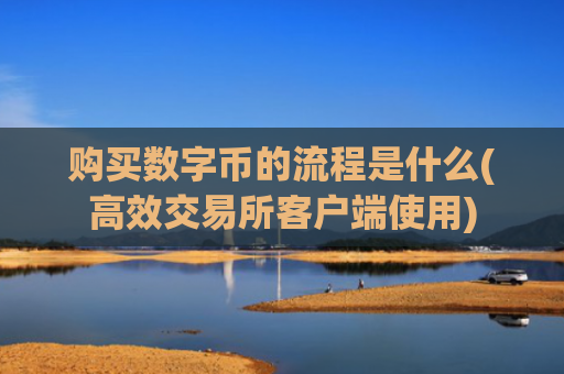 购买数字币的流程是什么(高效交易所客户端使用)